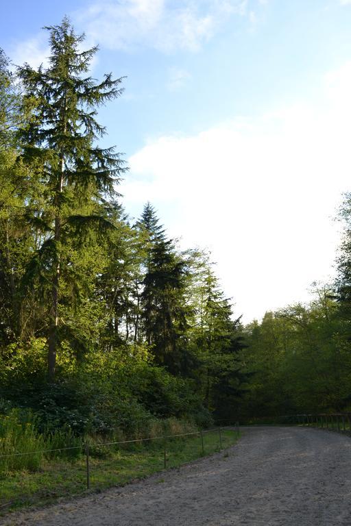 Wildwood Farm Bed & Breakfast Oak Harbor Εξωτερικό φωτογραφία