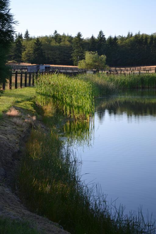 Wildwood Farm Bed & Breakfast Oak Harbor Εξωτερικό φωτογραφία