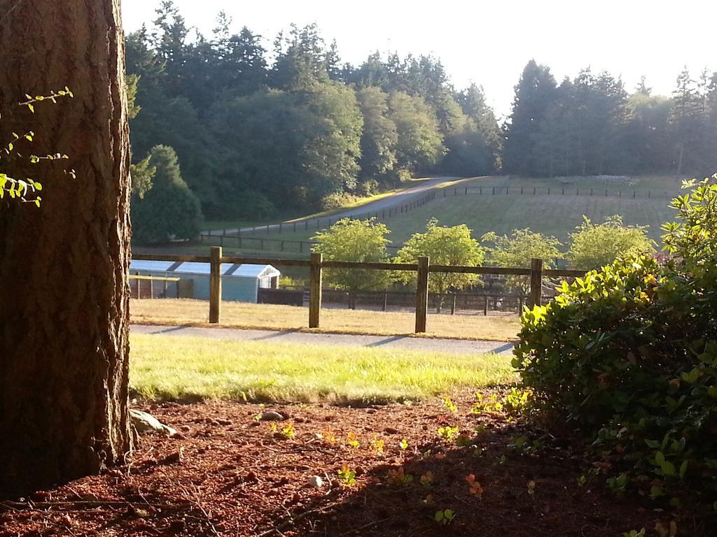 Wildwood Farm Bed & Breakfast Oak Harbor Εξωτερικό φωτογραφία