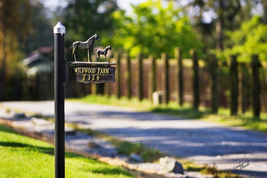 Wildwood Farm Bed & Breakfast Oak Harbor Εξωτερικό φωτογραφία