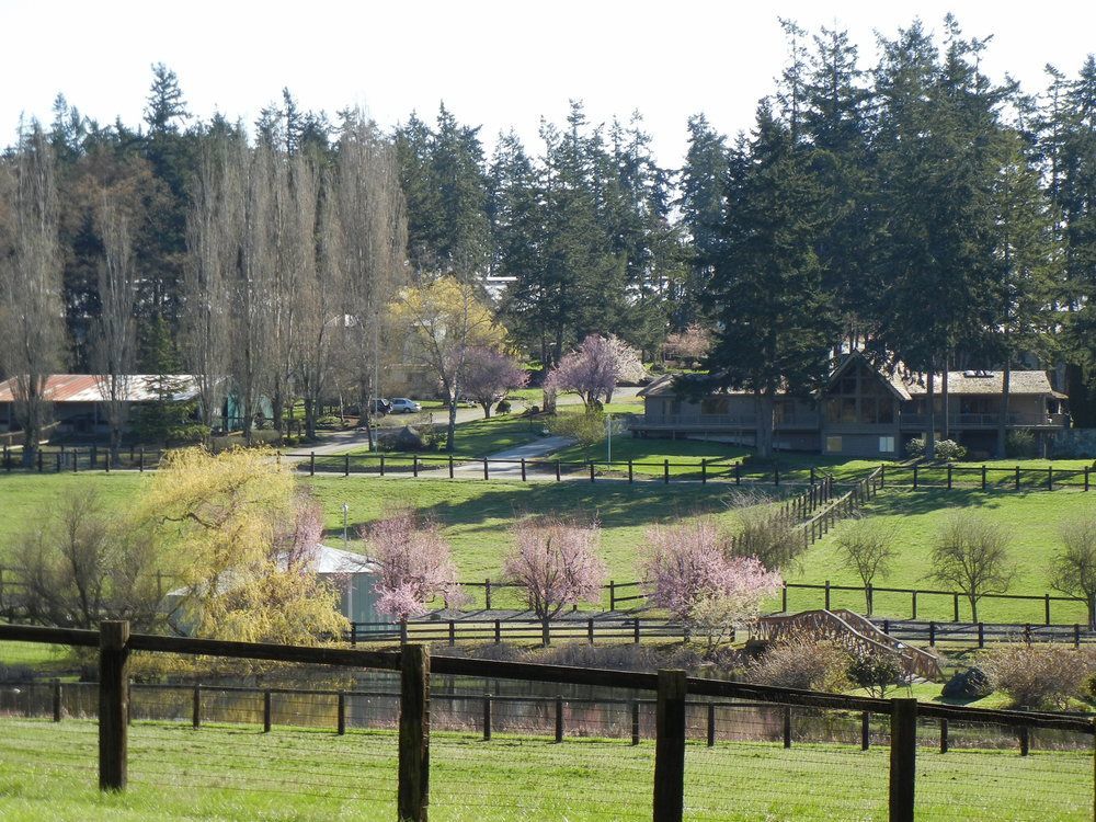 Wildwood Farm Bed & Breakfast Oak Harbor Εξωτερικό φωτογραφία